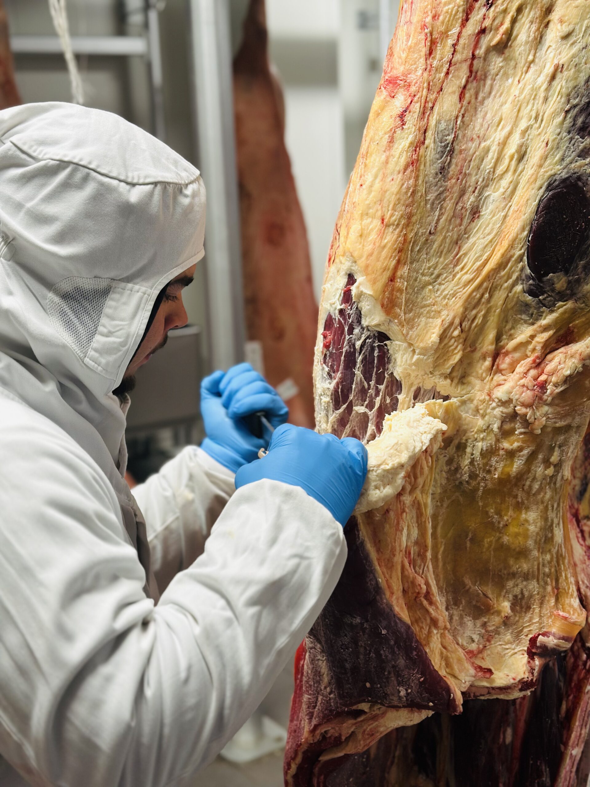 Johann Bernard - Ateliers de Sébastien